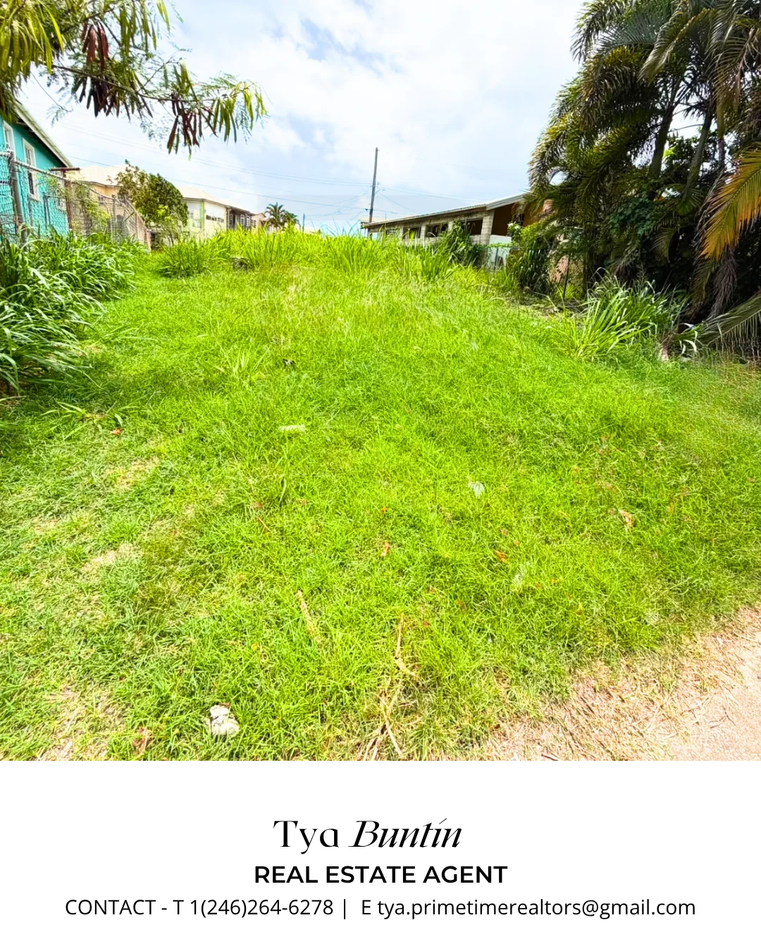 Gall Hill, St. John — photo 3